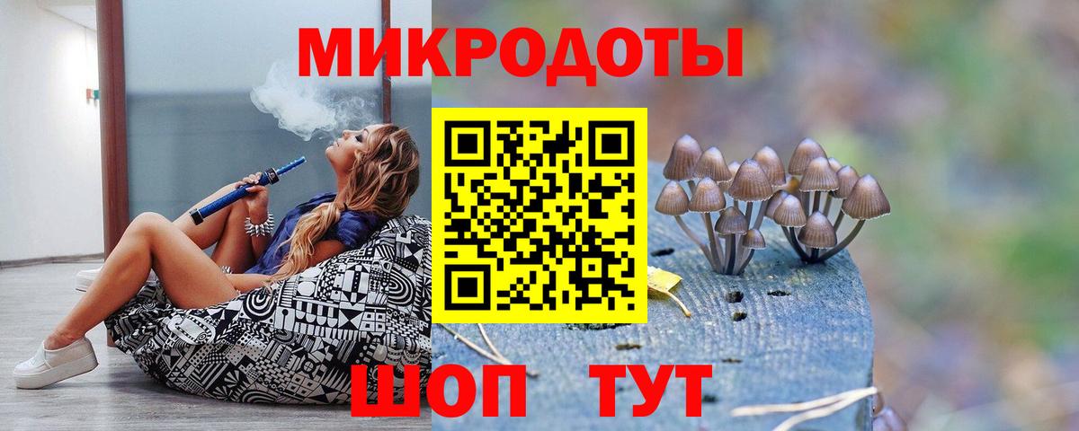 Псилоцибиновые грибы прущие грибы Гусиноозёрск